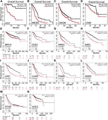 PPP1R14B Is a Prognostic and Immunological Biomarker in Pan-Cancer